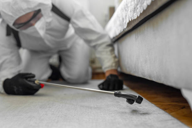 Professional Pest Control technician working in East San Gabriel, CA