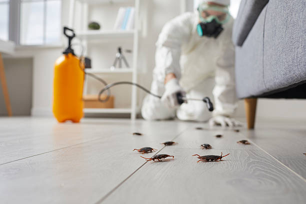 Trusted Cockroach Control service in East San Gabriel, CA - Nex Pest Control