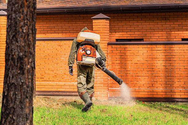 Trusted Rodent Control service in East San Gabriel, CA - Nex Pest Control